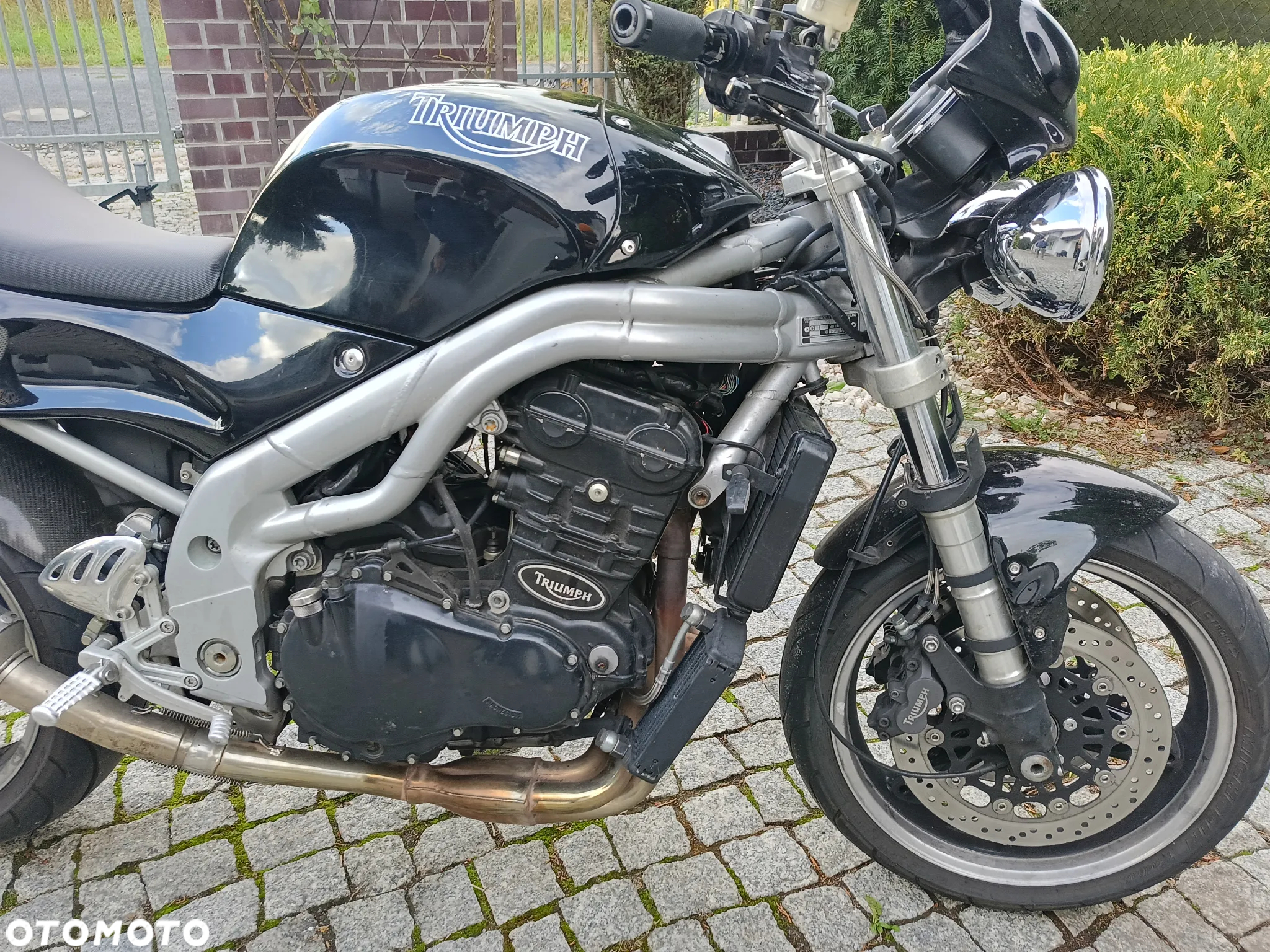 Triumph Speed Triple - 2