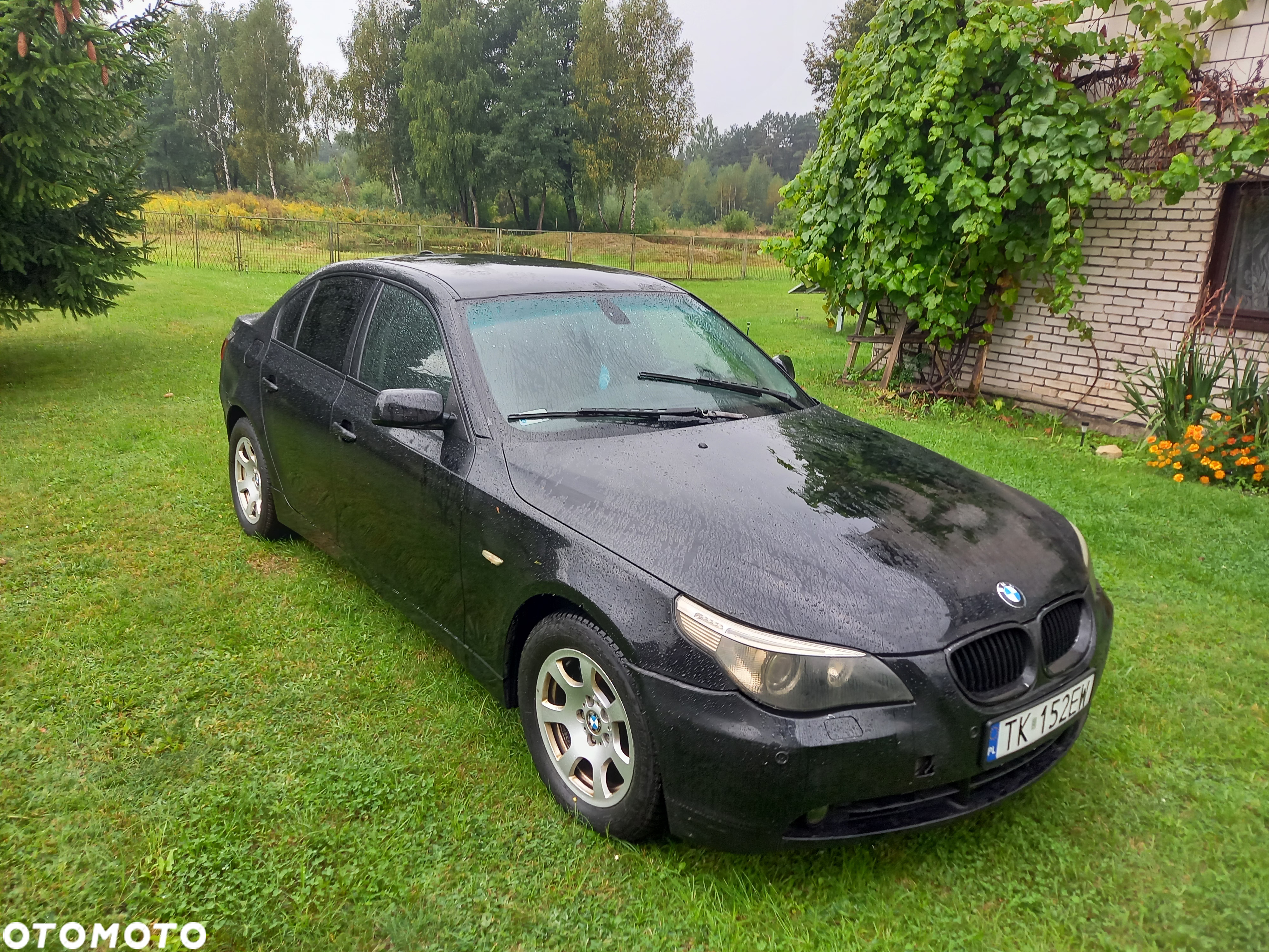 BMW Seria 5 520d - 13