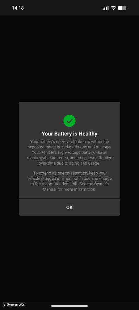 Tesla Model 3 Tração Traseira Standard - 31