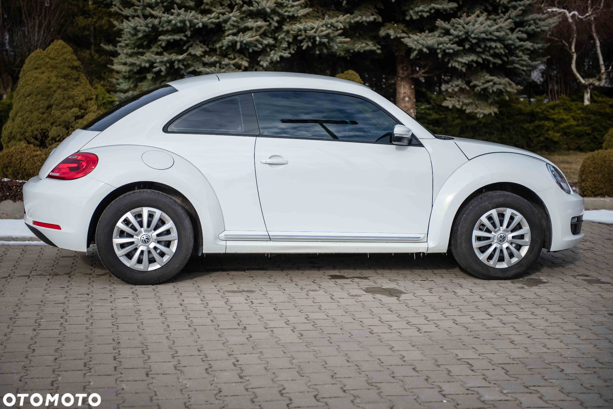 Volkswagen Beetle - 9