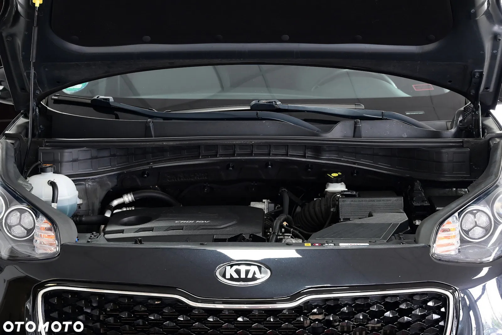 Kia Sportage - 9