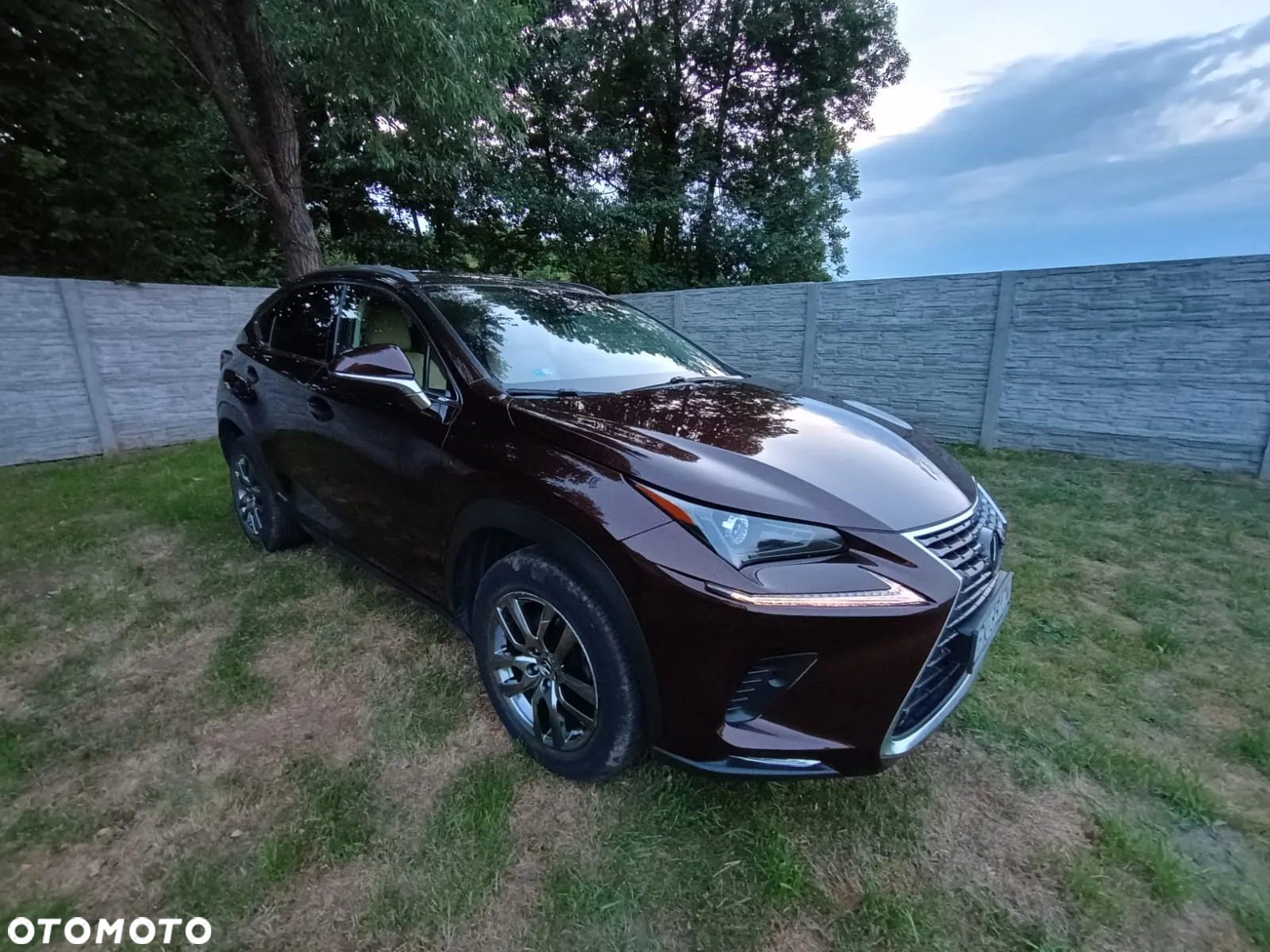 Lexus NX 300h Elegance AWD - 15
