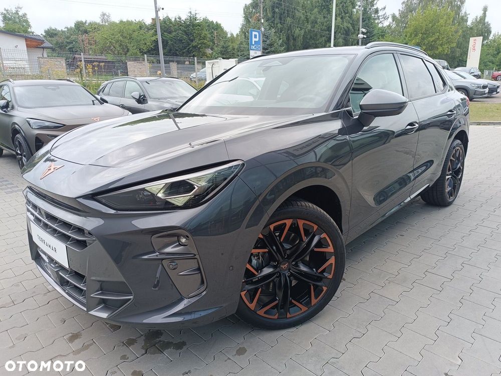 Cupra Terramar 2.0 TSI 4Drive Advantage Edition DSG - 4