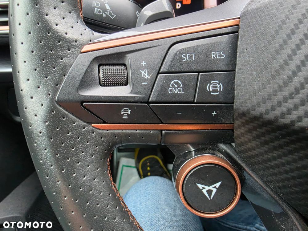 Cupra Formentor 1.5 TSI DSG Tribe Edition - 22