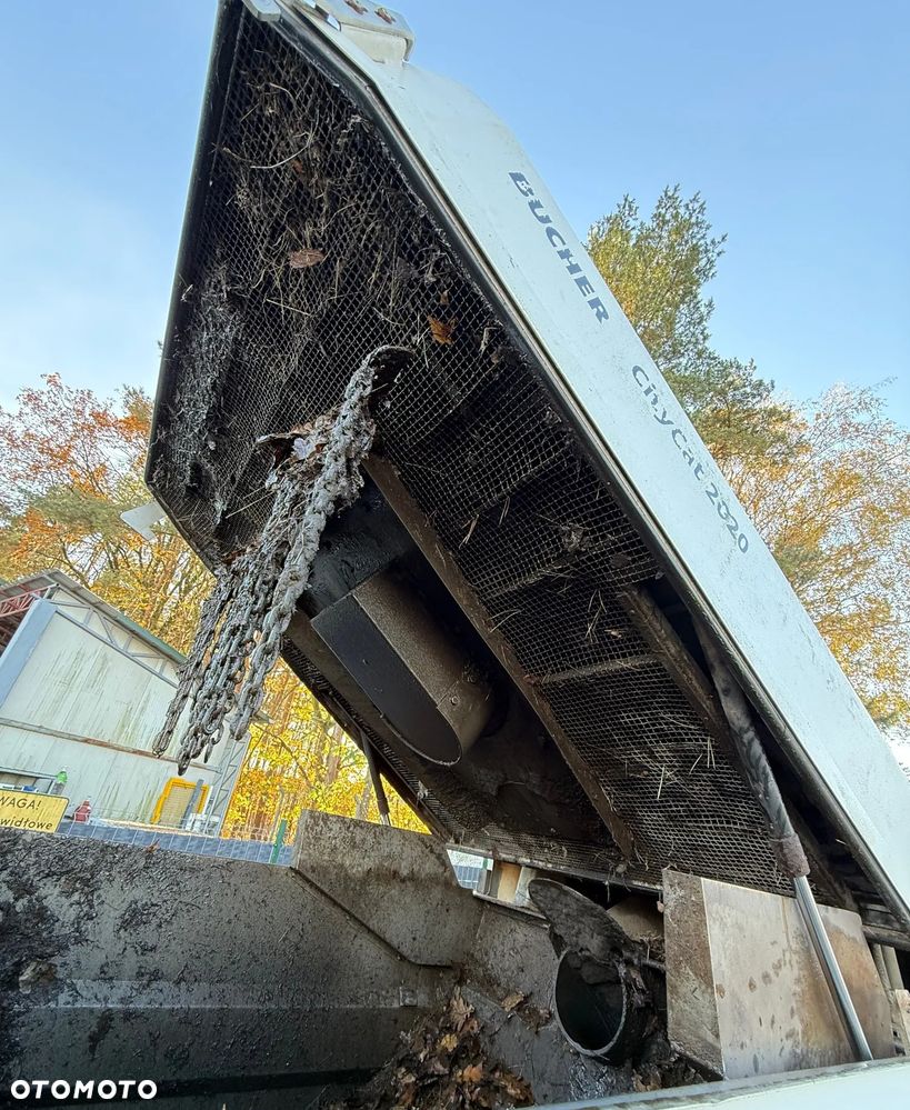 Inny City Cat 2020 - 10