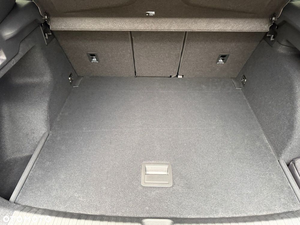 Cupra Terramar 2.0 TSI 4Drive DSG - 31