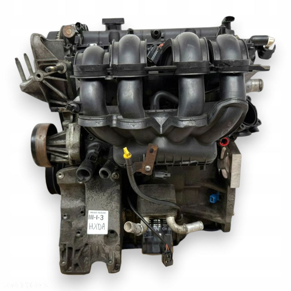 SILNIK HXDB Ford Focus II MK2 C Max C-Max 1.6 16V Ti HXDA nowy rozrząd - 4