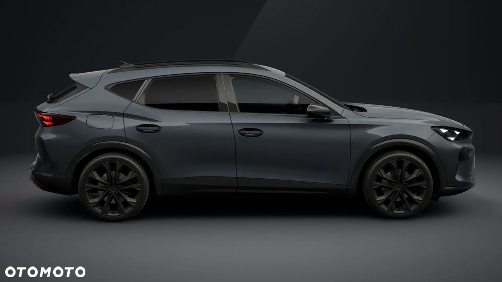 Cupra Formentor 2.0 TSI 4Drive DSG - 6