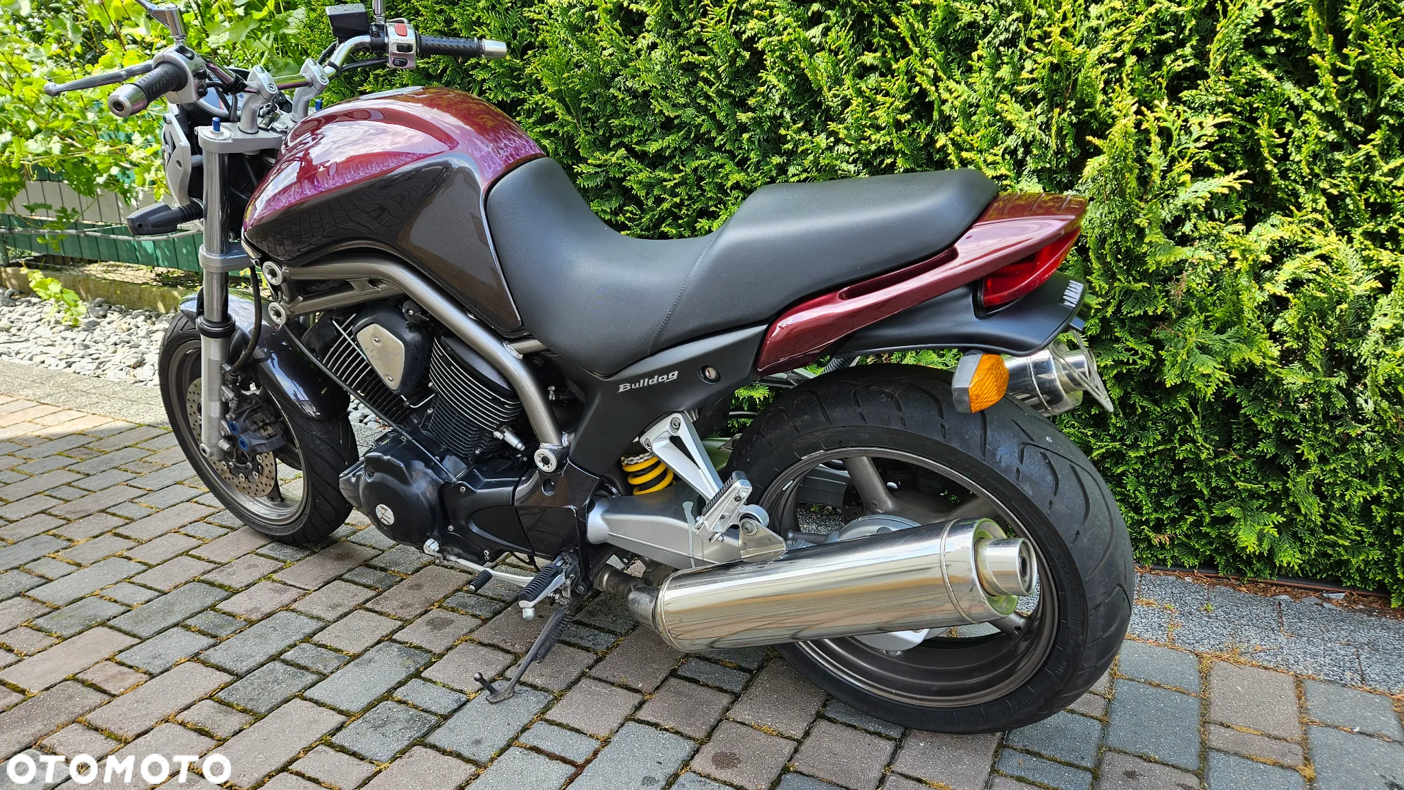 Yamaha Bulldog - 8