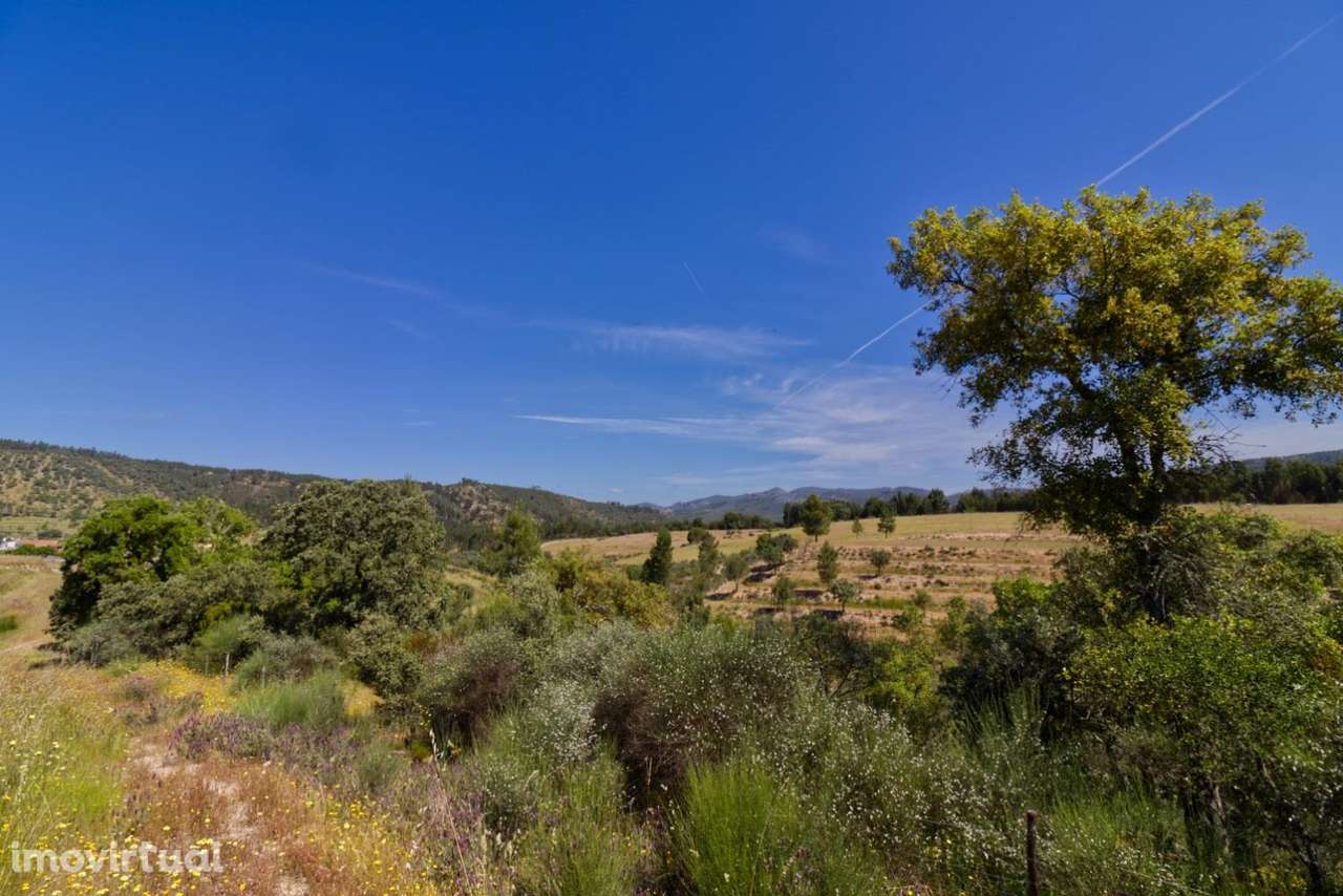 Quinta - Grande imagem: 4/15