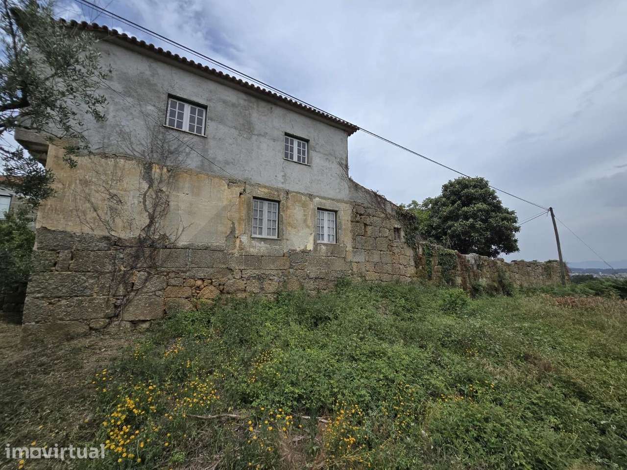 Quinta em Santa Comba Dão - Grande imagem: 3/17