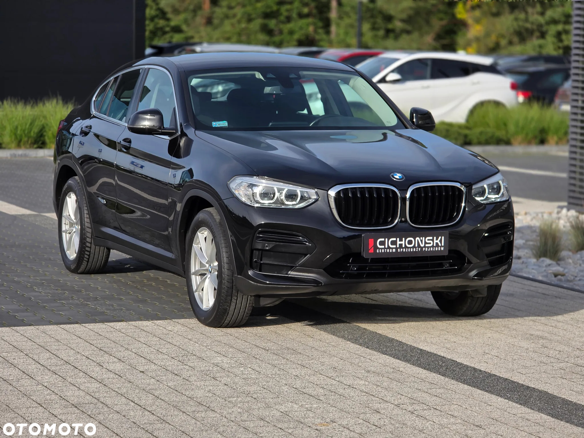 BMW X4 xDrive20d Business Edition sport - 5