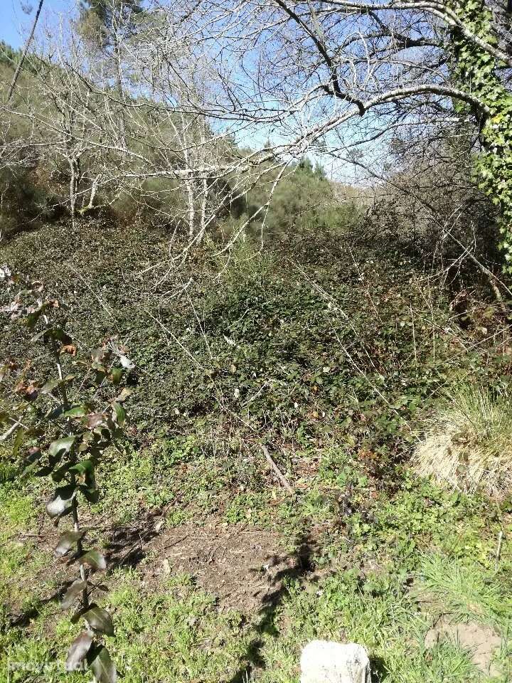 Terreno, Viana do Castelo, Monção - Grande imagem: 5/10