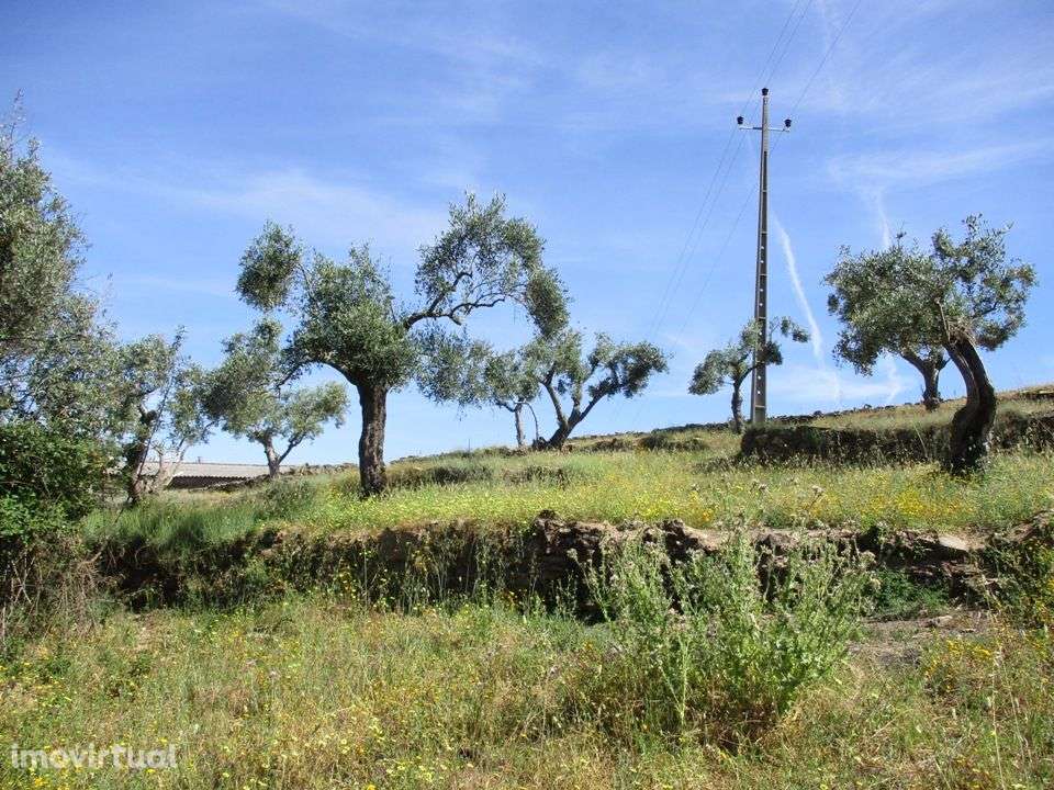 Quinta - Grande imagem: 2/10