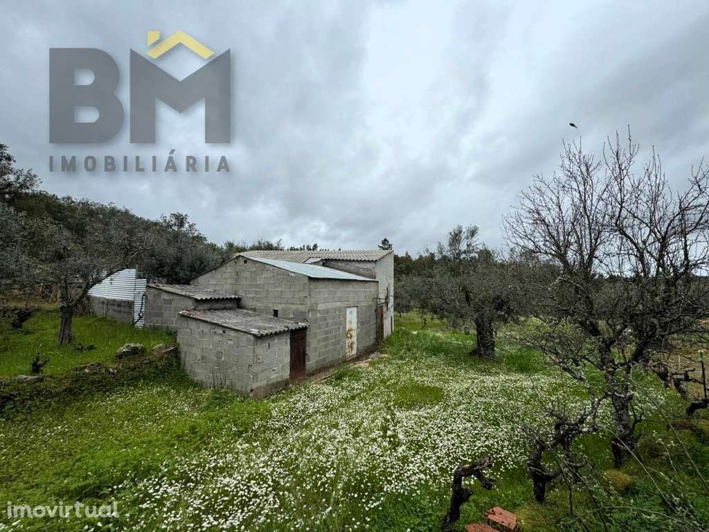 Terreno rústico com aproximadamente 1.850 m², localizado próximo do... - Grande imagem: 3/16