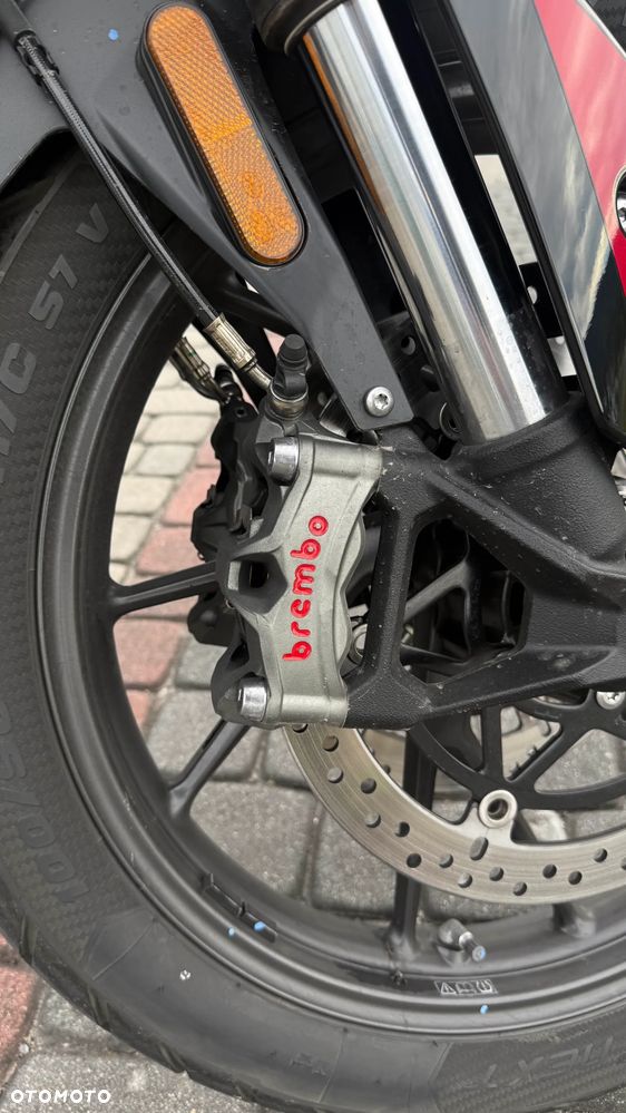 Triumph Tiger - 21