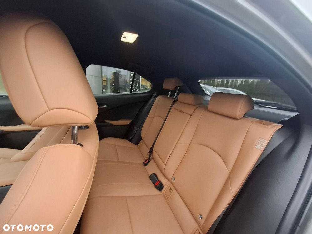 Lexus UX 250h GPF F Sport Design 2WD - 16