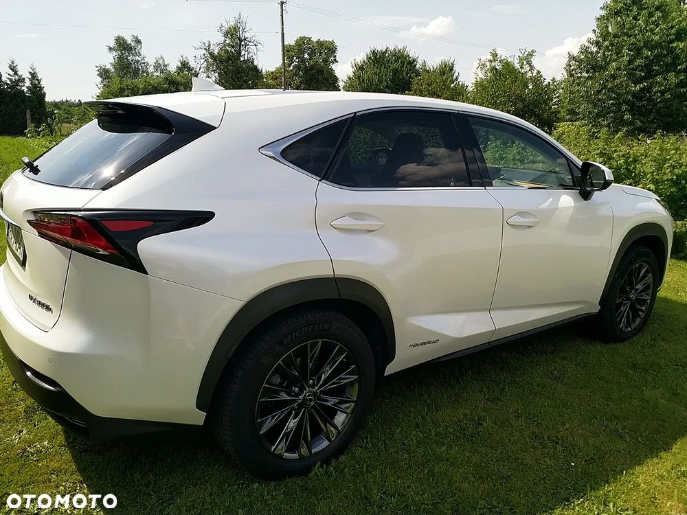 Lexus NX 300h Prestige AWD - 37