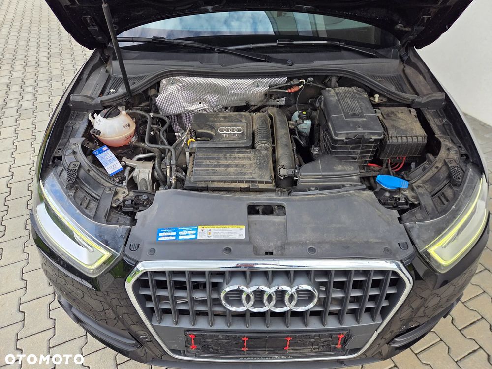 Audi Q3 - 19