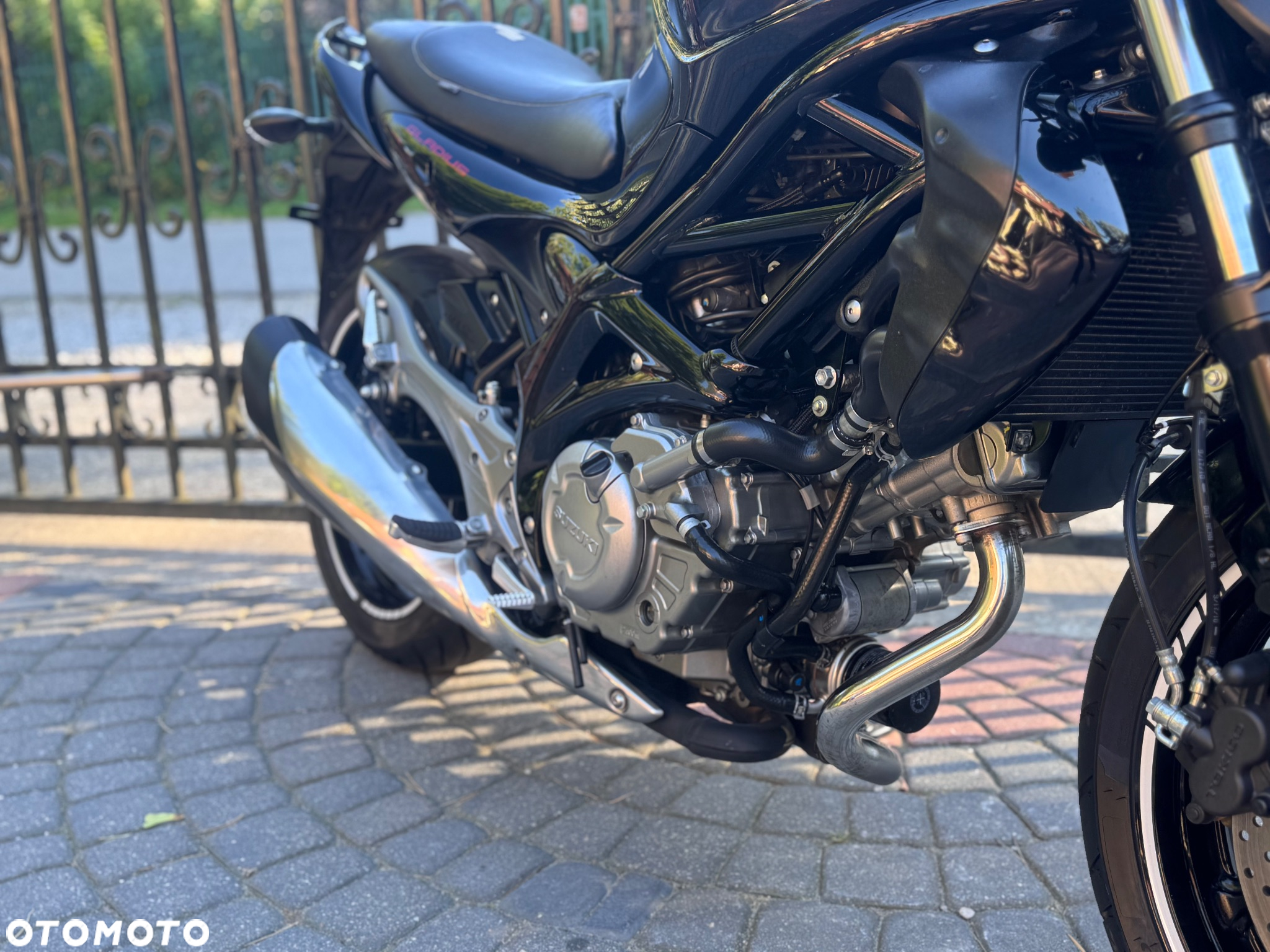 Suzuki Gladius - 12