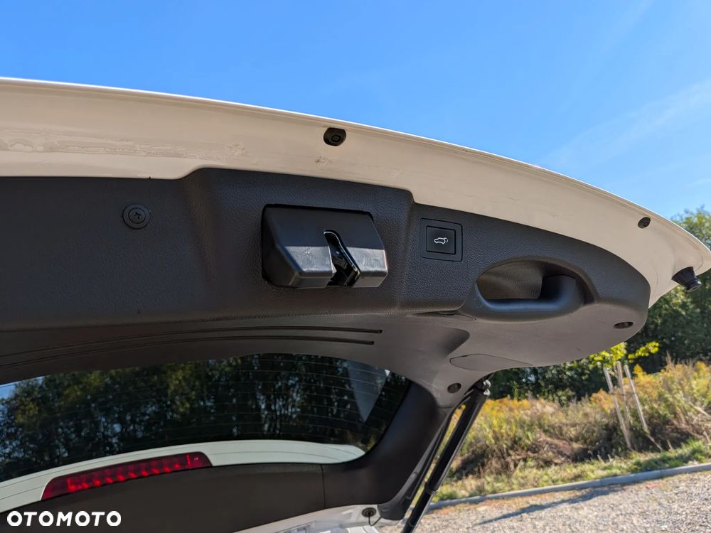 Hyundai Santa Fe 2.0 CRDi Platinum 4WD - 31