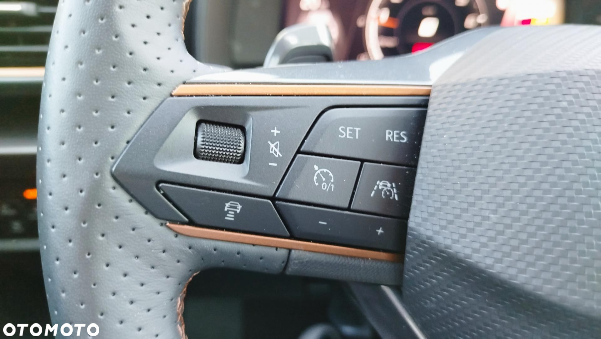 Cupra Formentor - 10