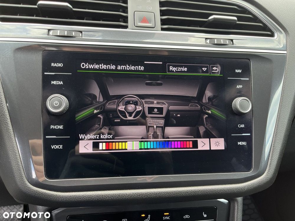 Volkswagen Tiguan - 19