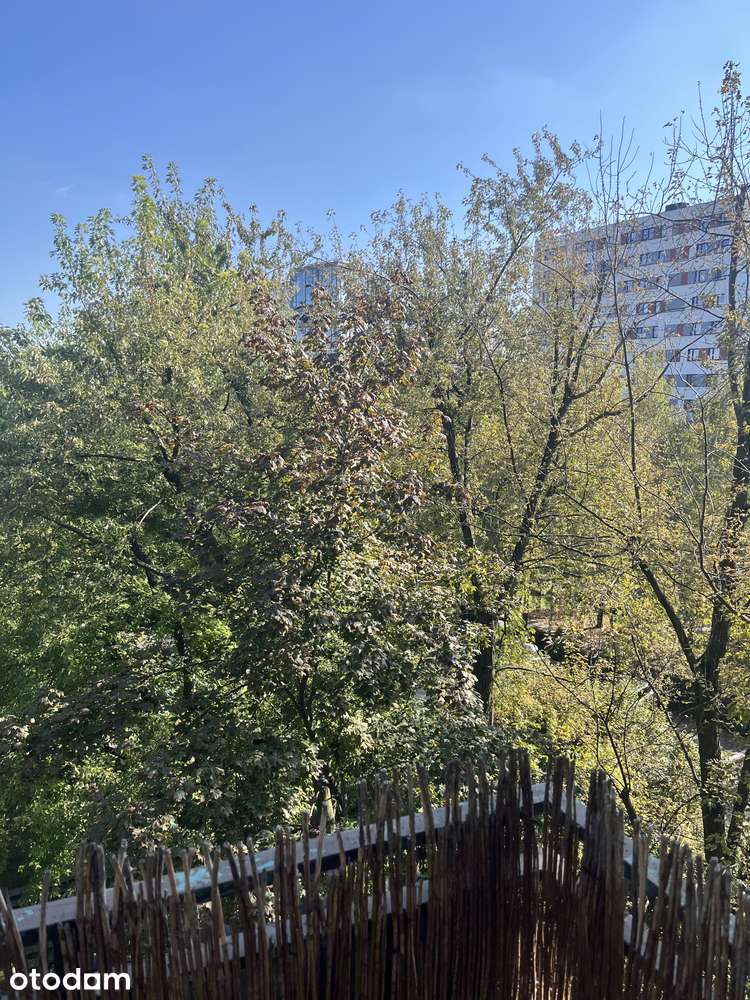Mieszkanie 2-pokojowe z balkonem w Mokotowie
