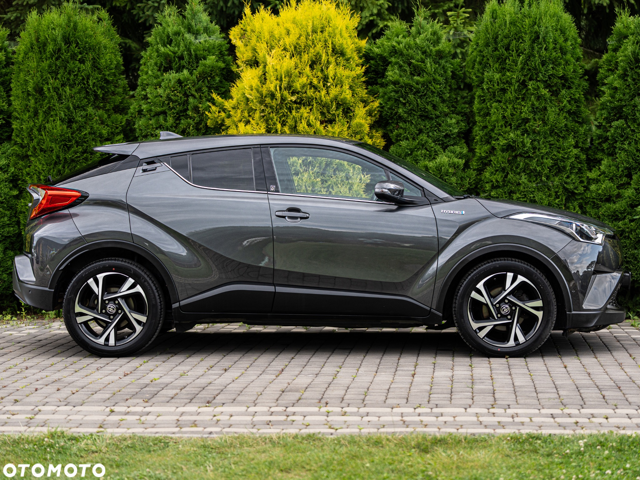 Toyota C-HR - 5