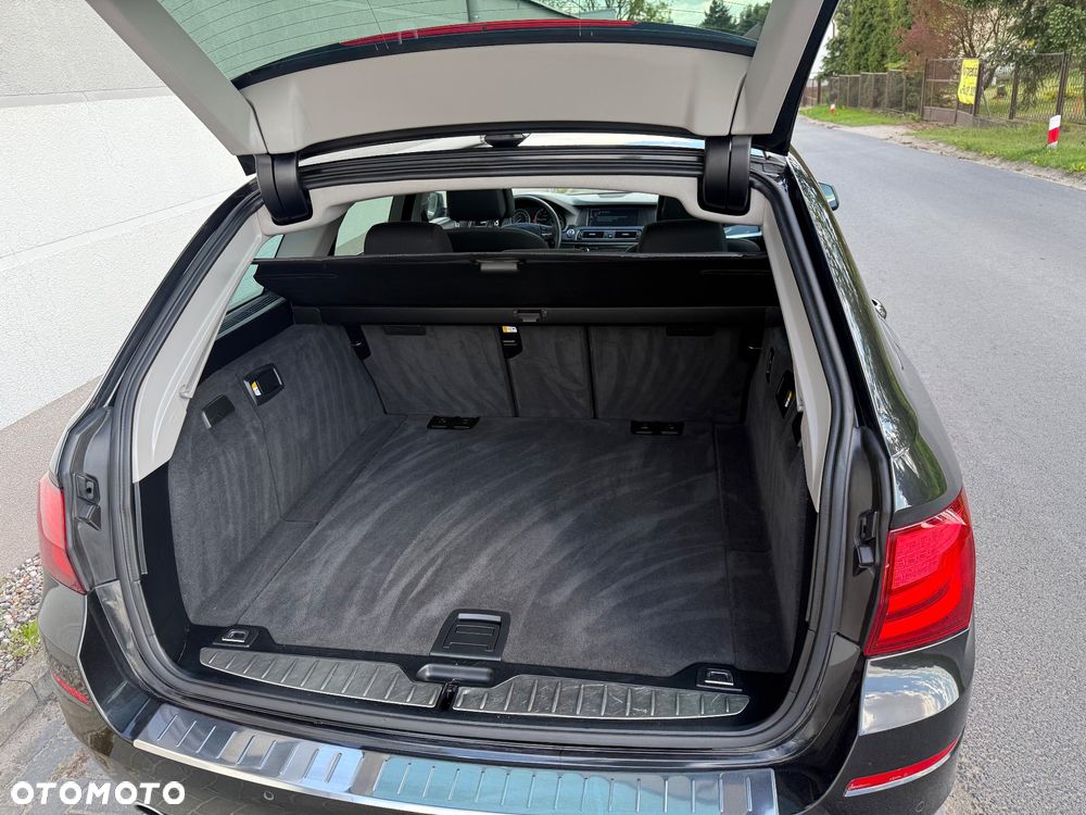 BMW Seria 5 520d Blue Performance - 18