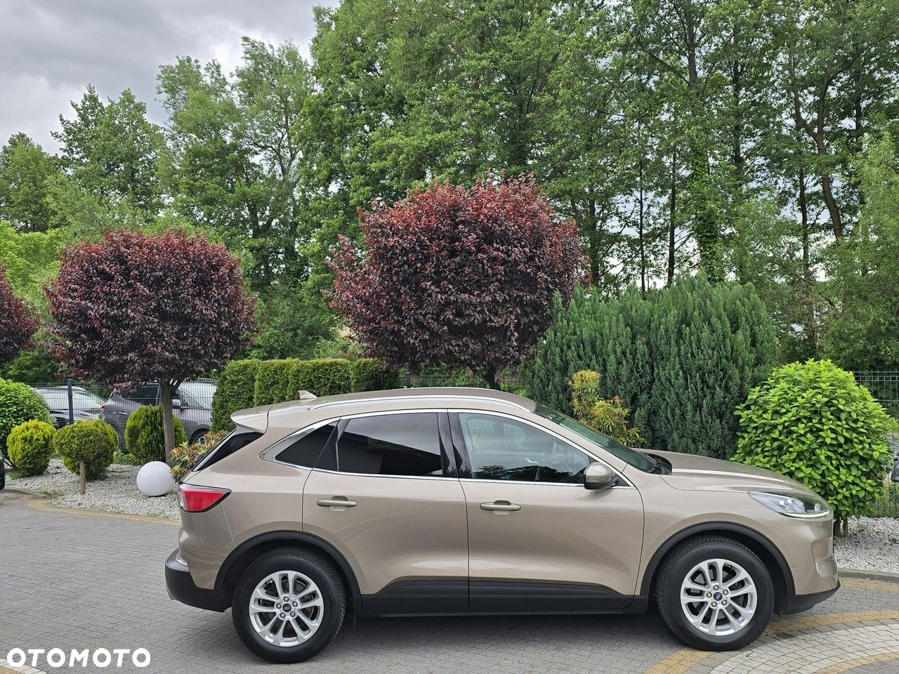 Ford Kuga 1.5 EcoBlue FWD Titanium - 16
