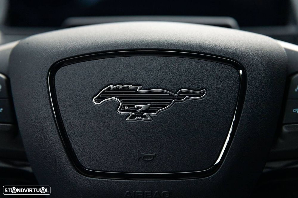 Ford Mustang Mach-E Standard - 29