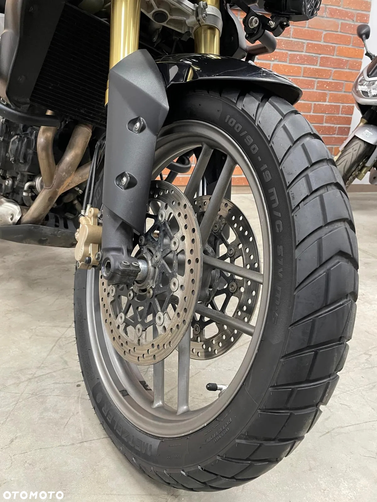 Triumph Tiger