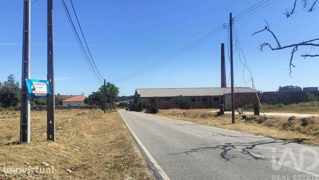 Terreno Agrícola em Canas de Santa Maria - Grande imagem: 4/30