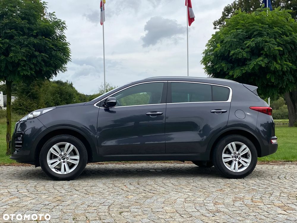 Kia Sportage 1.6 GDI L Business Line 2WD - 6