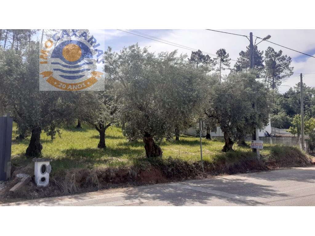 Terreno viabilidade de construção - Grande imagem: 3/3