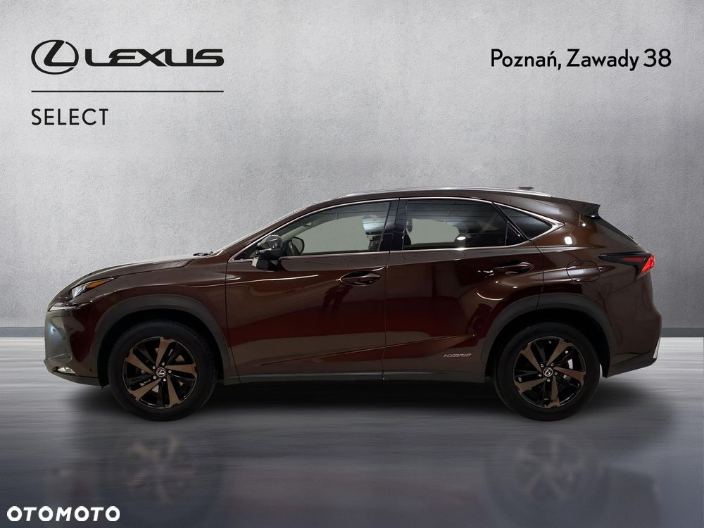 Lexus NX 300h Elegance AWD - 5