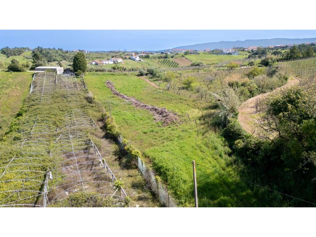 Terreno Rustico em Évora de Alcobaça - Grande imagem: 5/11