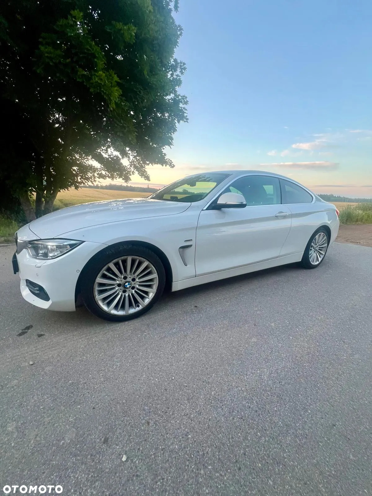 BMW Seria 4 - 2