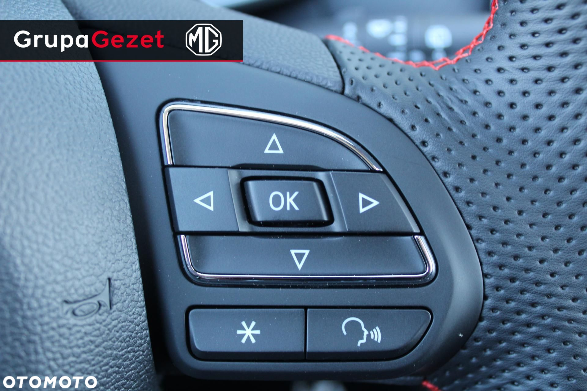MG ZS - 13