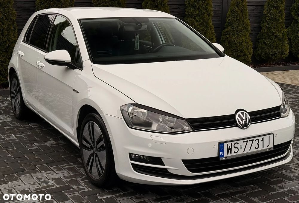 Volkswagen Golf 1.6 TDI BlueMotion Technology Trendline - 3