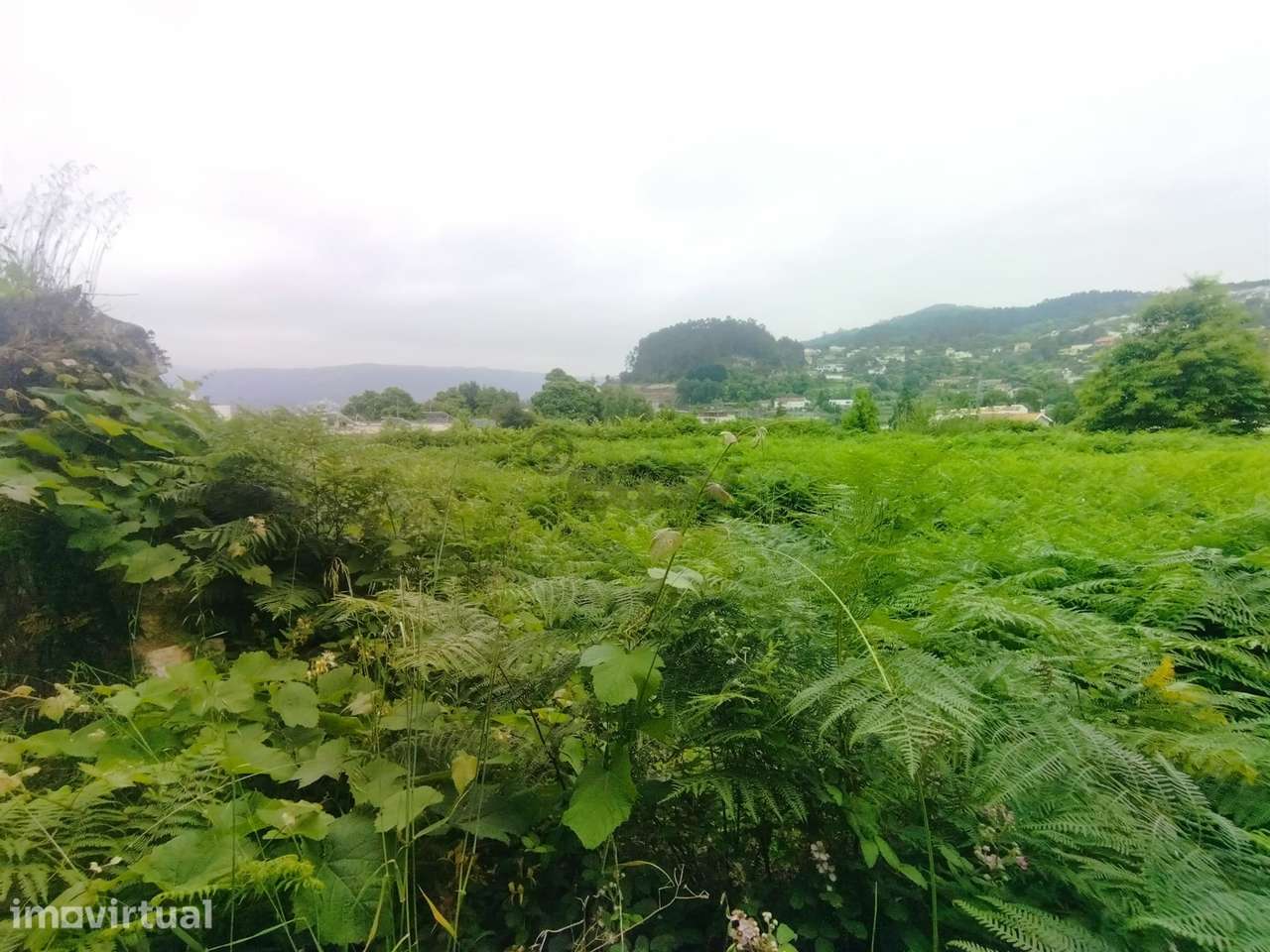 Terreno de Luxo em Caminha (5.000 m²) | Investimento Premium - Grande imagem: 5/18