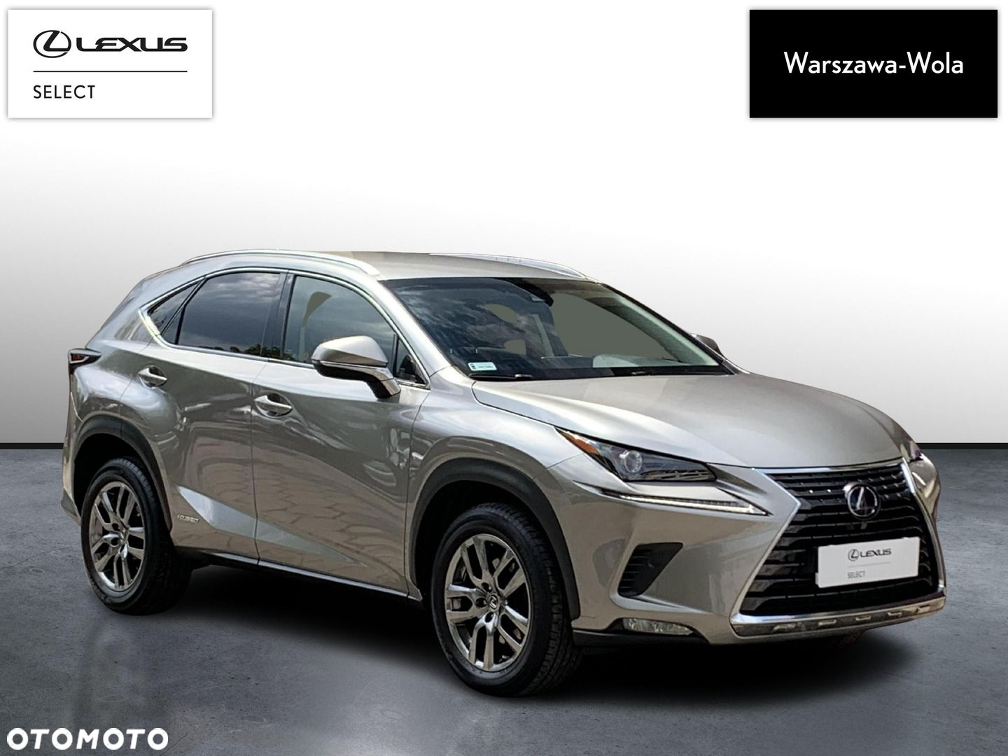 Lexus NX - 9