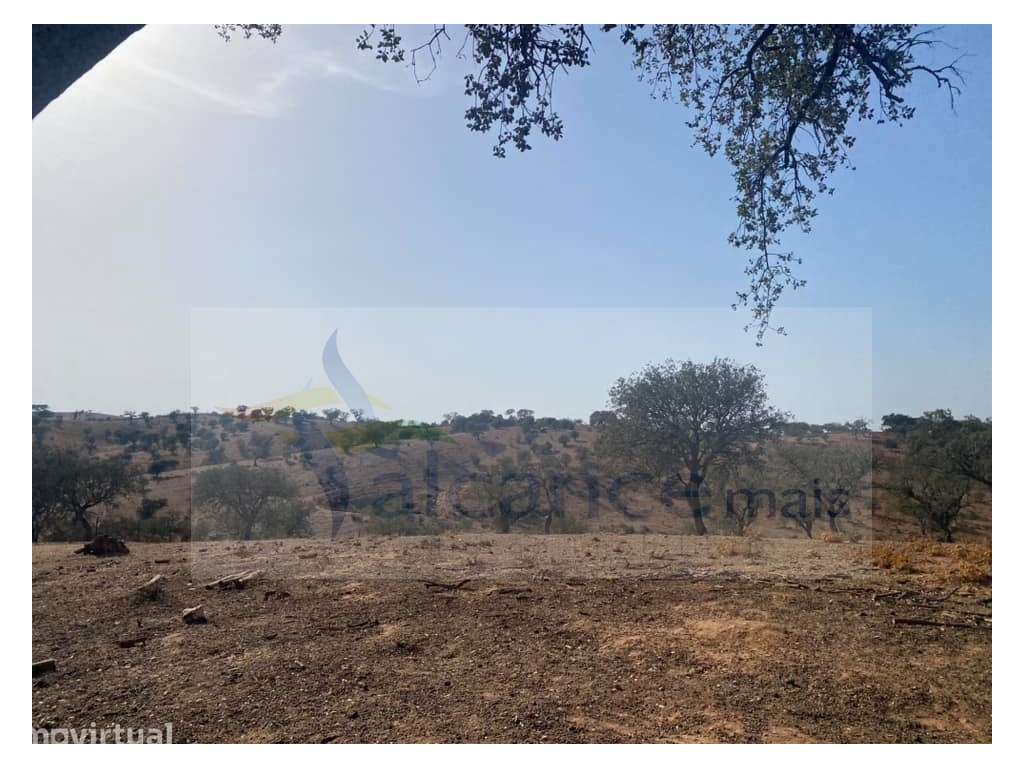 Propriedade de 35 ha - com Monte em Ruínas em Serpa - Grande imagem: 5/25