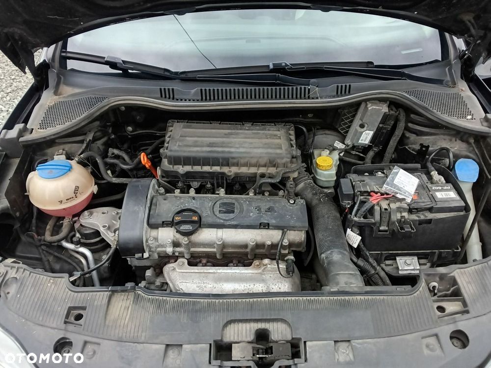 Seat Ibiza - 31
