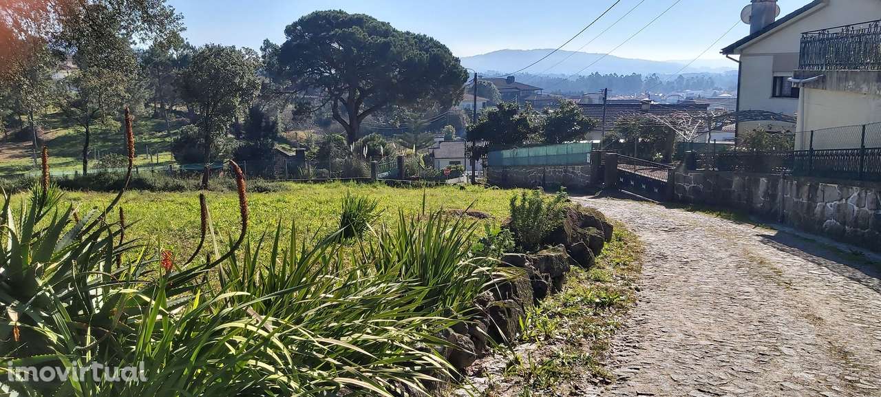Terreno: "Bouça de Manteiros", ou "das Fontainhas" - Grande imagem: 3/42