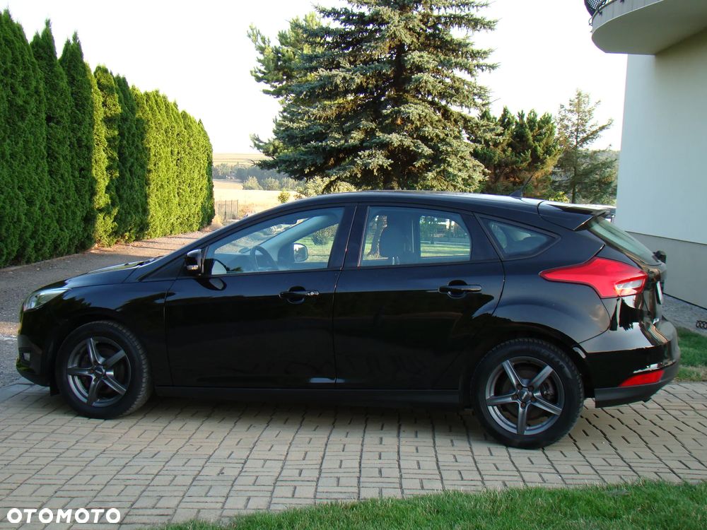 Ford Focus - 5