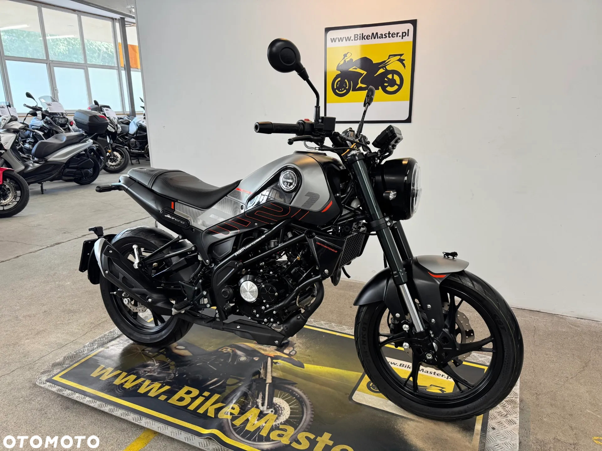Benelli Leoncino - 3