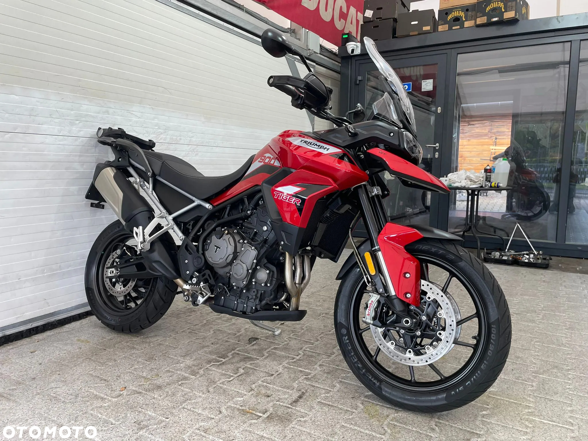 Triumph Tiger - 12
