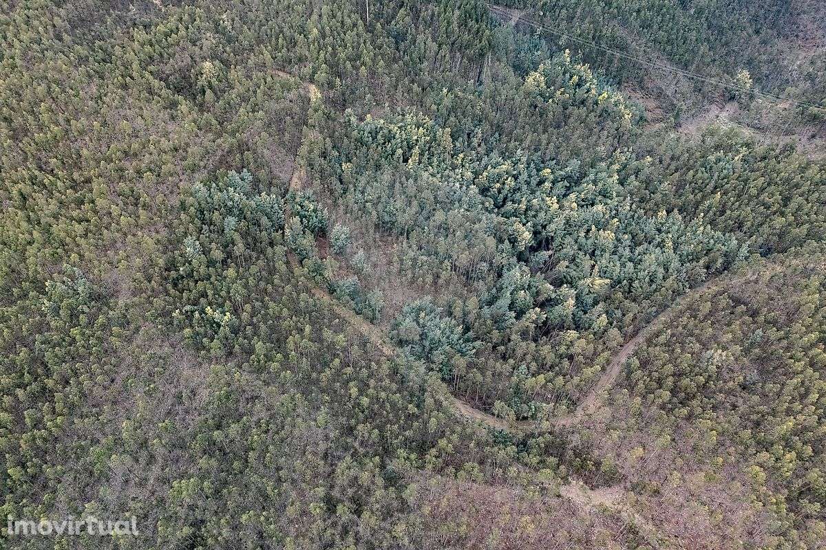 Terreno  para venda - Grande imagem: 4/10